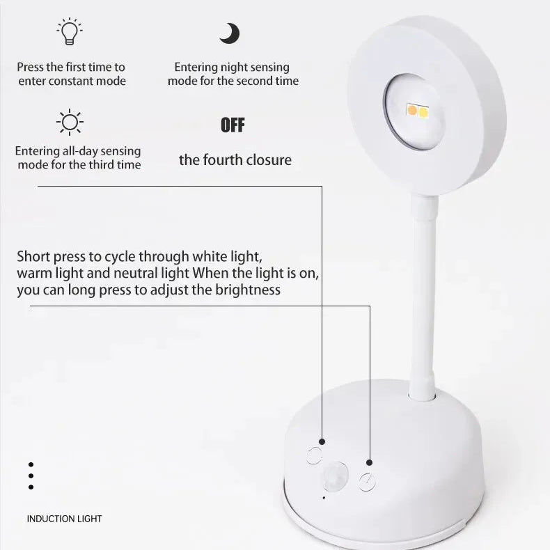 USB Rechargeable Picture Light – Motion Sensor 3 Colors