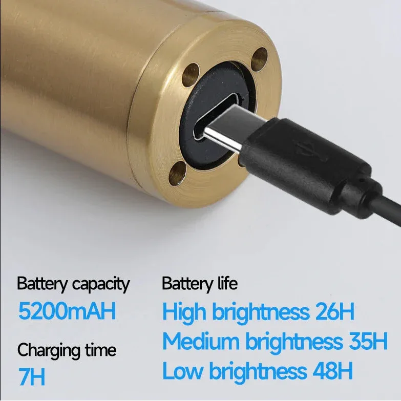 Battery Wall Lamp – 66cm Rechargeable Black/Gold LED with Remote - Lightify