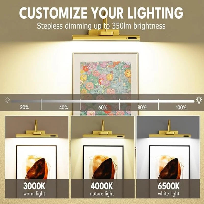 Rechargeable Picture Light – 4000mAh Battery with Remote